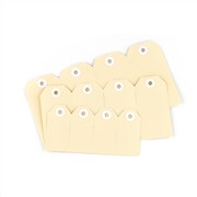 Avery 14000 Shipping Tags Size 4 Buff 108 x 54mm Pack 1000