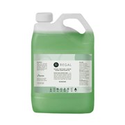 Regal 36102 Instant Liquid Hand Sanitiser 5L 70