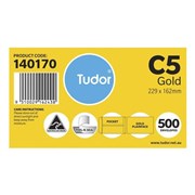 Envelope 606322 C5 229 x 162mm Peel  Seal Pocket Kraft Box 500