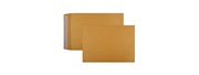 Envelope 142849 Peel  Seal X Ray 458 x 324mm Kraft Pocket Heavy Duty Box 250 616329