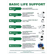 Aero Guide CPR Wall Chart A4