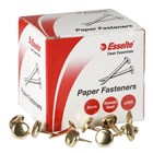 Paper Fastener