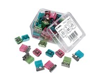 Carl Mori Clips